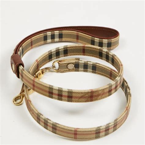 collier chien luxe burberry